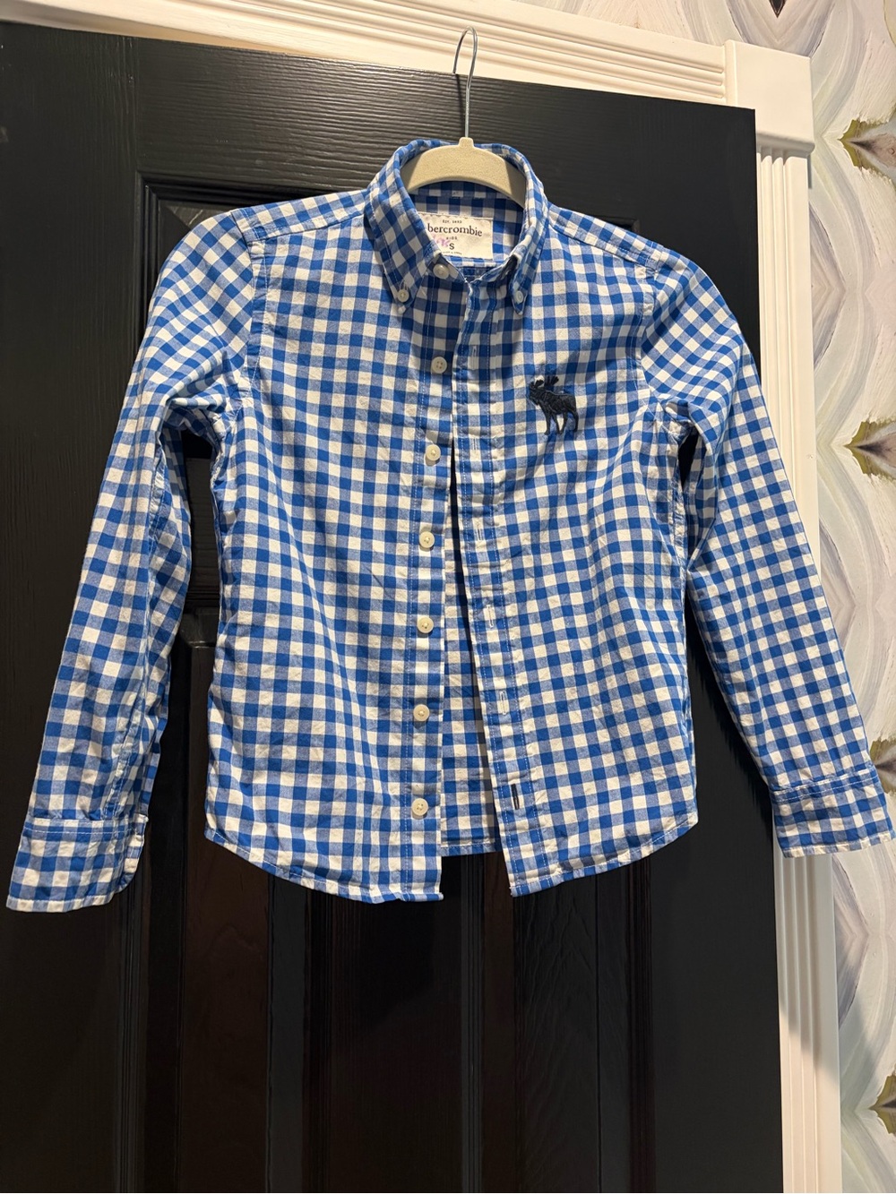 Abercrombie & Fitch Blue and White Gingham Button-Down Shirt